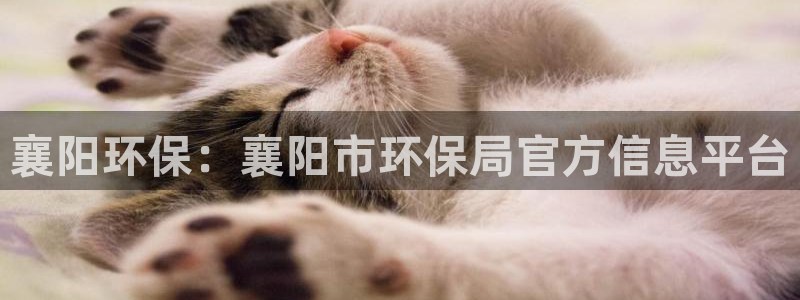 jdb电子什么游戏好玩