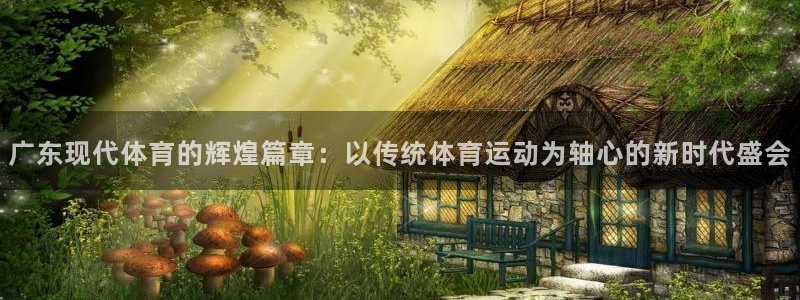 77体育：广东现代体育的辉煌篇章：以传统体育运动为轴心的新时代盛会