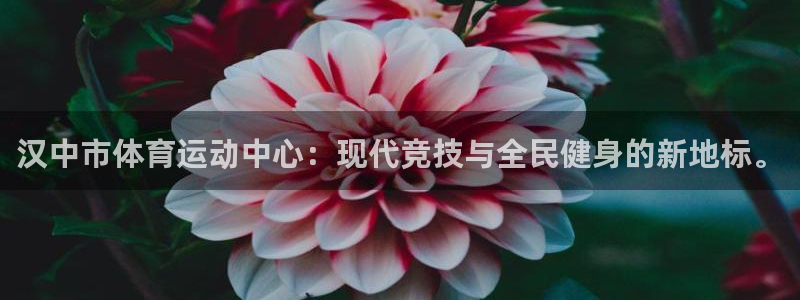 77体育app下载官网：汉中市体育运动中心：现代竞技与全民健身的新地标。