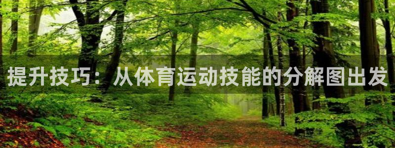 77体育：提升技巧：从体育运动技能的分解图出发