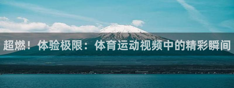 77体育官网