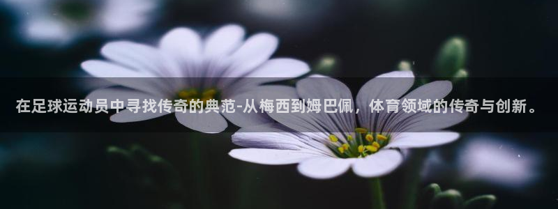 77体育app下载官网：在足球运动员中寻找传奇的典范-从梅西到姆巴佩，体育领域的传奇与创新。
