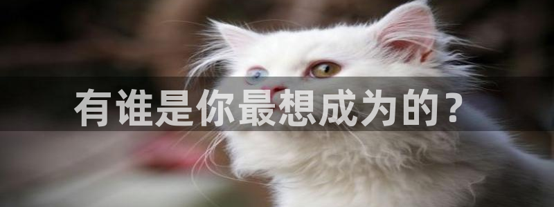 皇冠277体育：有谁是你最想成为的？