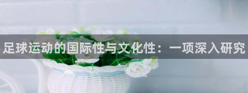 77体育官网：足球运动的国际性与文化性：一项深入研究