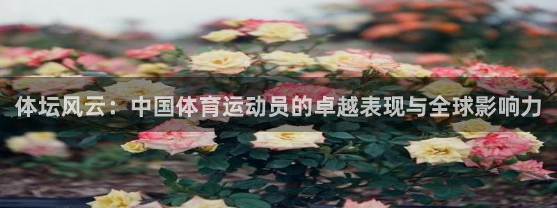 77体育app下载官网：体坛风云：中国体育运动员的卓越表现与全球影响力
