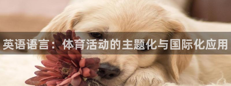 77体育官网：英语语言：体育活动的主题化与国际化应用