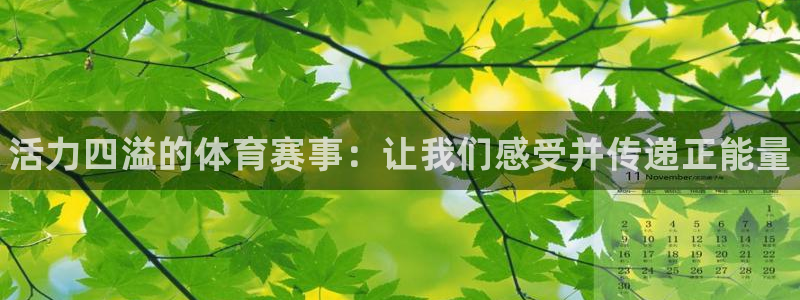 皇冠277体育：活力四溢的体育赛事：让我们感受并传递正能量