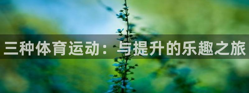 77体育：三种体育运动：与提升的乐趣之旅