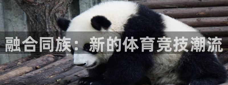 77体育app下载官网：融合同族：新的体育竞技潮流