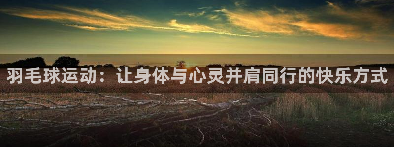 皇冠277体育：羽毛球运动：让身体与心灵并肩同行的快乐方式