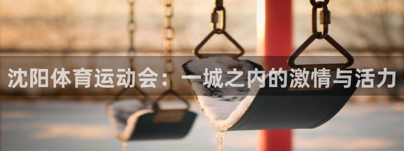皇冠277体育：沈阳体育运动会：一城之内的激情与活力