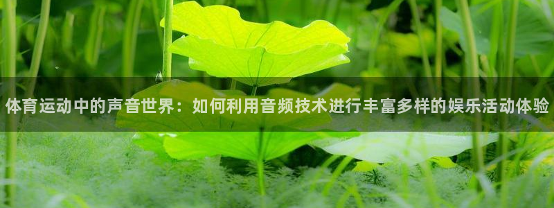 77体育官网