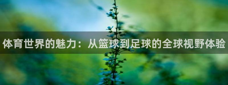 皇冠277体育：体育世界的魅力：从篮球到足球的全球视野体验