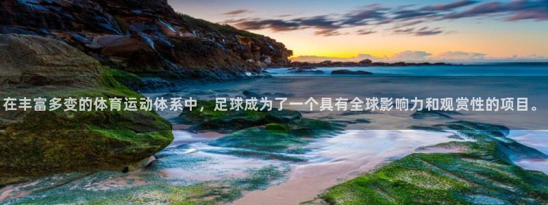 77体育