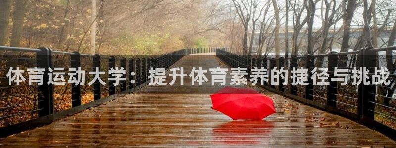 77体育官网