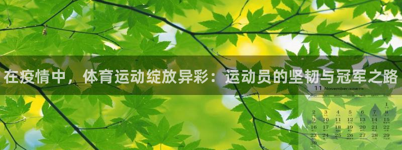 77体育app下载官网
