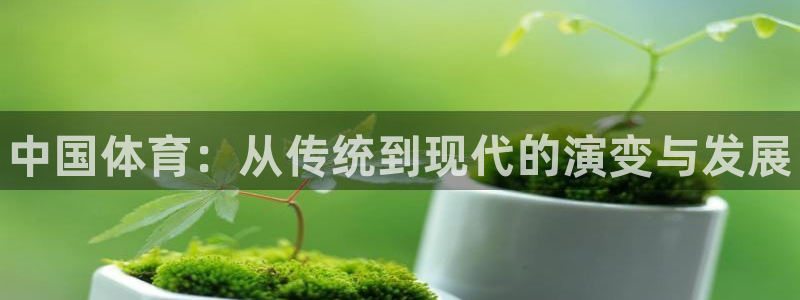 77体育app下载官网：中国体育：从传统到现代的演变与发展