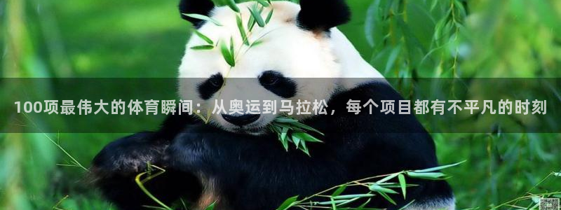 皇冠277体育：100项最伟大的体育瞬间：从奥运到马拉松，每个项目都有不平凡的时刻
