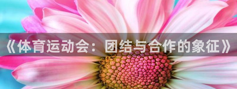 77体育app下载官网：《体育运动会：团结与合作的象征》