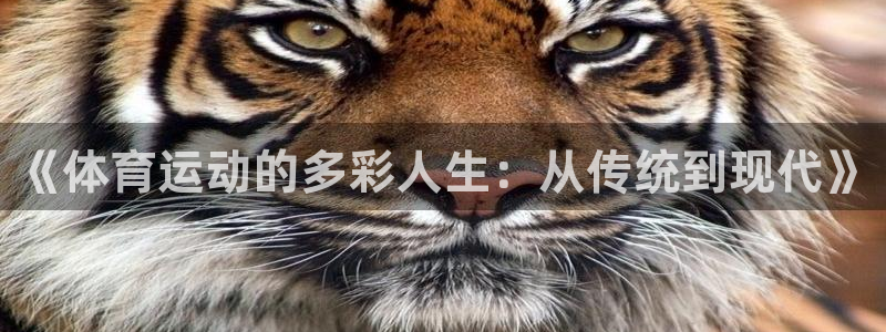 77体育app下载官网：《体育运动的多彩人生：从传统到现代》