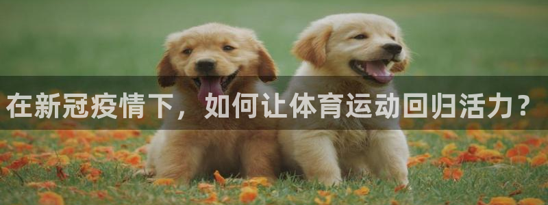 77体育官网：在新冠疫情下，如何让体育运动回归活力？