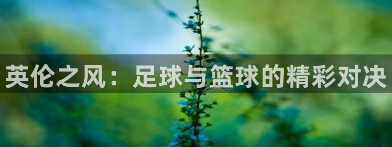 77体育app下载官网：英伦之风：足球与篮球的精彩对决
