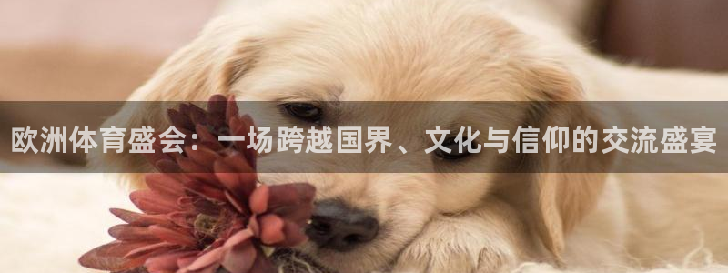 皇冠277体育：欧洲体育盛会：一场跨越国界、文化与信仰的交流盛宴