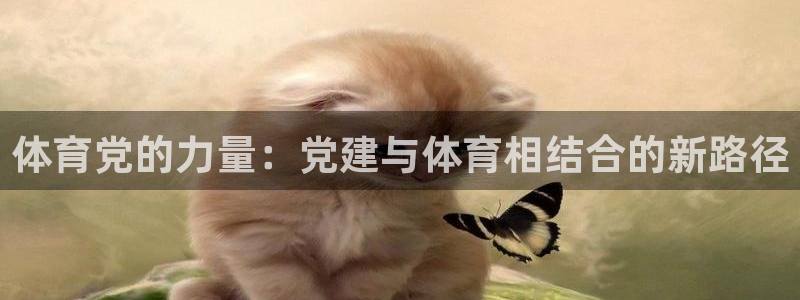 77体育：体育党的力量：党建与体育相结合的新路径