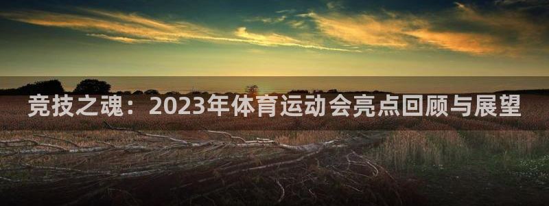 77体育app下载官网