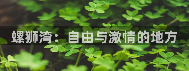 77体育官网：螺狮湾：自由与激情的地方