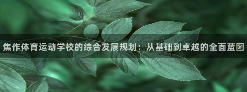皇冠277体育：焦作体育运动学校的综合发展规划：从基础到卓越的全面蓝图