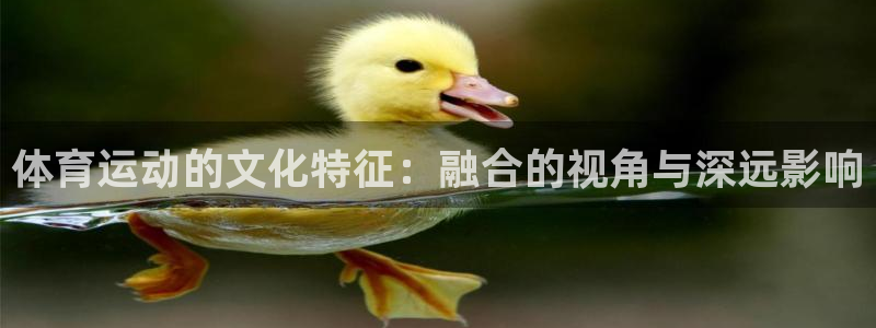 77体育app下载官网：体育运动的文化特征：融合的视角与深远影响